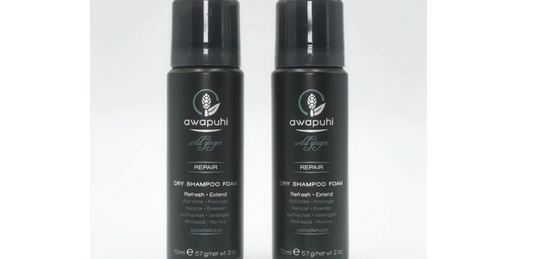 2 Pack Paul Mitchell Awapuhi Wild Ginger Dry Shampoo Foam Repair 2 oz