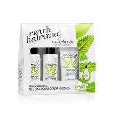 Wellphoria Kit Nourishing Shampoo Conditioner Masque Hair and Scalp Oil